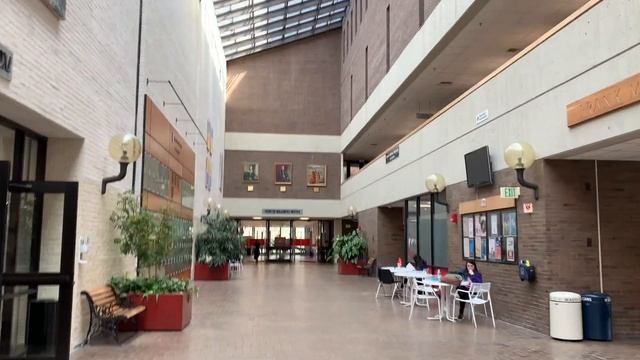 SENIOR YEAR AT STONY BROOK UNIVERSITY