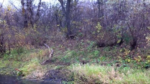 Первые эмоции