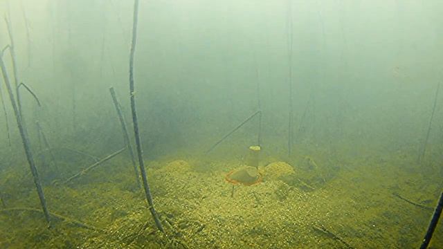 7d41d982b617fb2fc1fba8e9b950f804