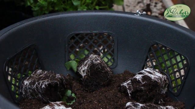 0267a03182ac7bb37a0e6181393b0ebb