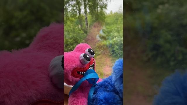 Хагги и Кисси обожают грозу ?