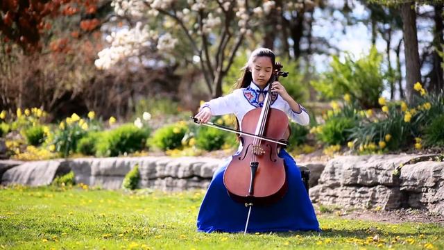 Dove High Over The Storm (Violin & Cello Cover)