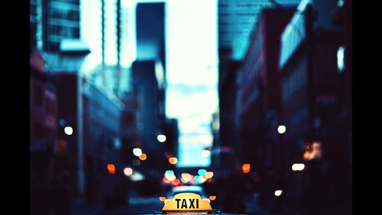 Stray - Urban Wandering