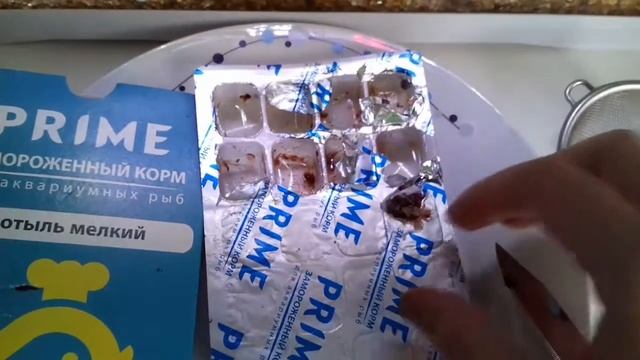 КОРМЛЕНИЕ РЫБОК МОТЫЛЕМ PRIME