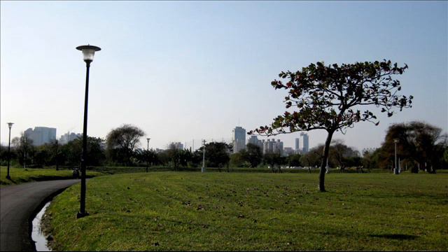 Mozart Violin Sonata In E Minor, K. 304/300c (1/2)