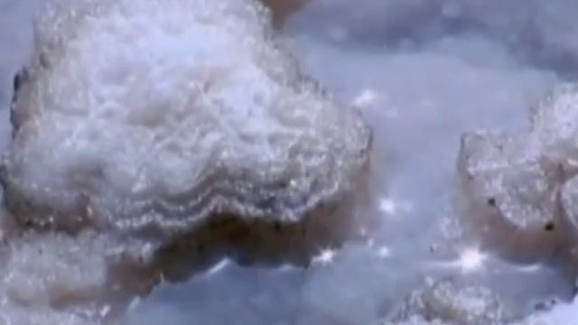 Кулинарные Открытия