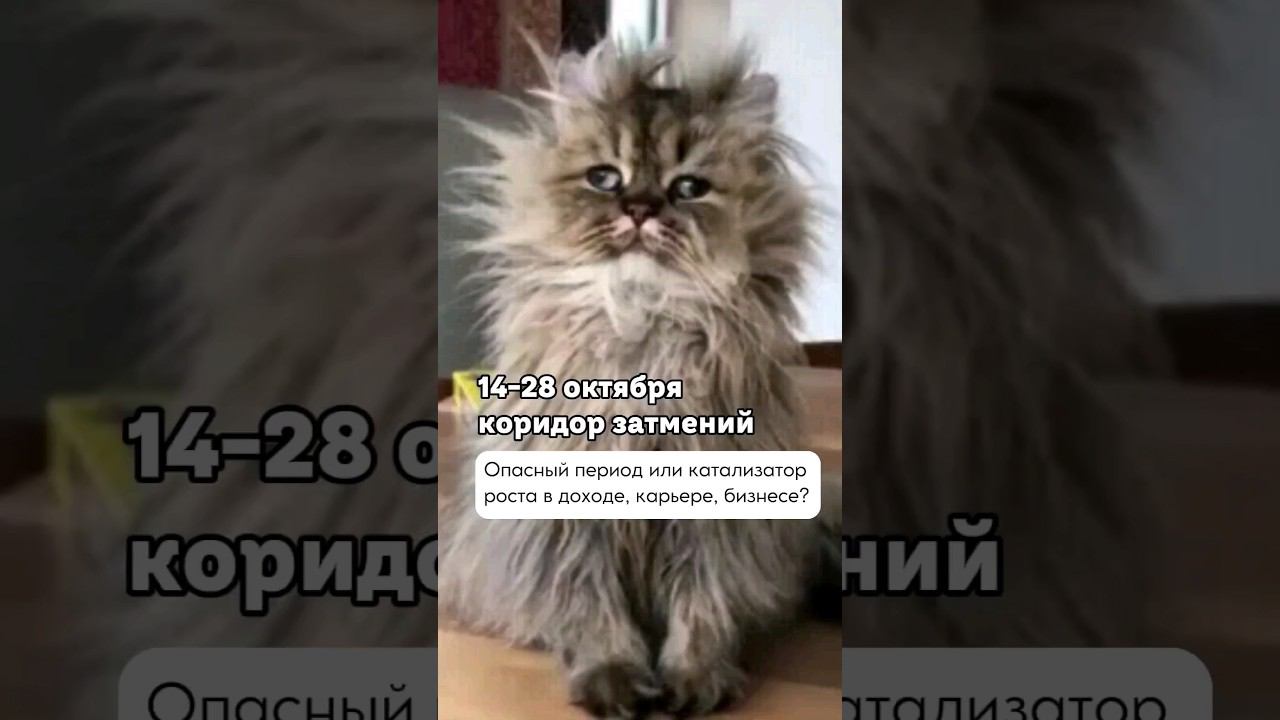 Коридор затмений - бояться нельзя шевелиться? (смотрите первый комментарий)