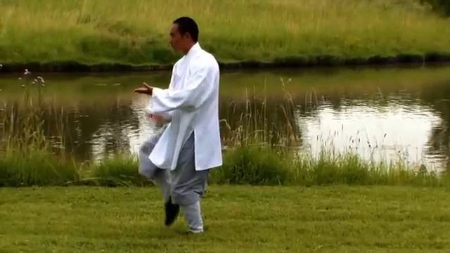 Tai Chi Chuan By A Shaolin Monk In Nature - Zenitude Experience