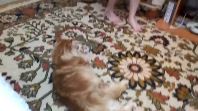 Май Кун играет с игрушкой