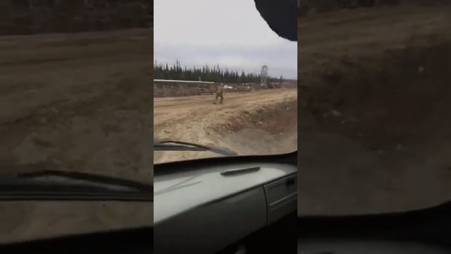 ЭТО НУЖНО УВИДЕТЬ!