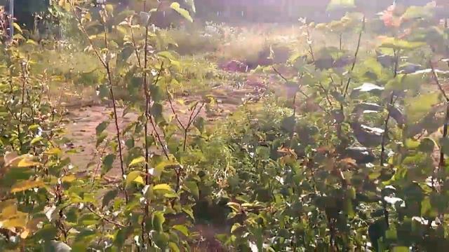 8102fd6868c49652148a389e54f80032