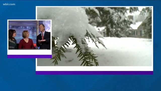 81827b63ed8845cf8069906edd0ab390