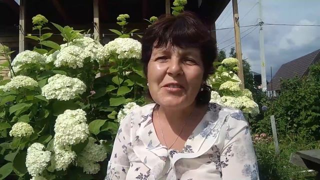 Приглашение на Арт-Фестиваль 