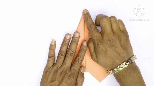 Bd5 Best Flying Paper Plane?✈️?Pakistan