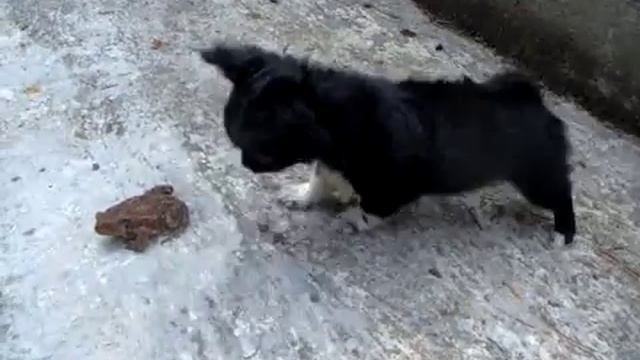 714e6d3ac546690001e8097814f44809