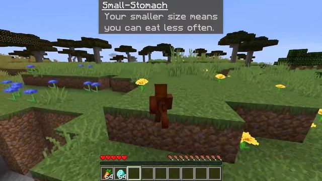 Minecraft Origins Mod: Custom Squirrel Origin Datapack!