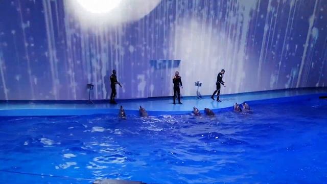 7ef0bd57a038b9628bb5bc16fd055413