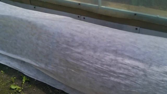 Убрали затенение/Мало ТОМАТОВ/Обзор ОГОРОДА