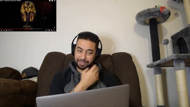 Reaction SNAIK - PHARAON