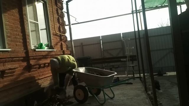 #511КУБАНЬ/НАВОДИМ ПОРЯДОК ВО ДВОРЕ/ОТЛИЧНАЯ ПОГОДА