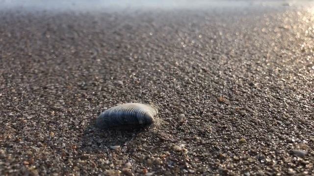 Море народу? Пляж Анапы в карантин