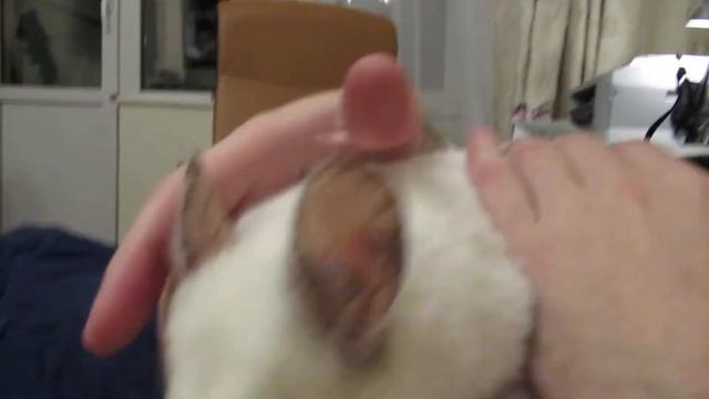 7a10d0d13dc002f406a45270b79e0e6b