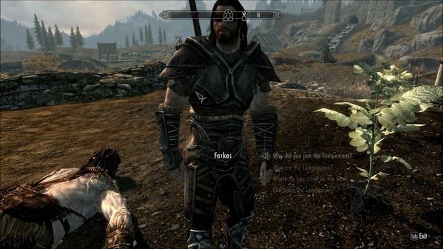 Elder Scrolls V: Skyrim Walkaround PC Max Settings