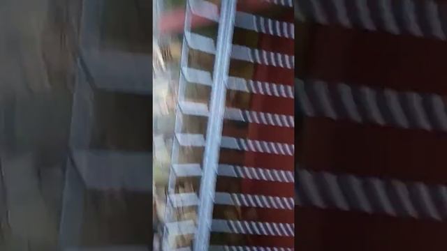 Ялта поляна сказок 1 часть 30 витязей