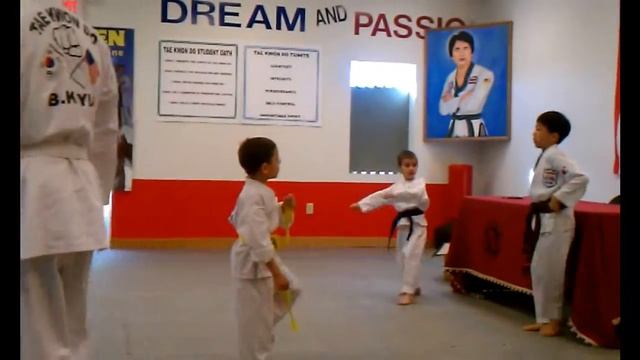 Tae Kwon Do Bek Punk