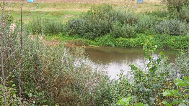 93cc98fc486fc098138e3a15ab9bafc7