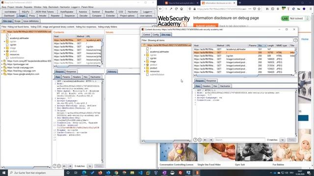 Information Disclosure On Debug Page (Video Solution)