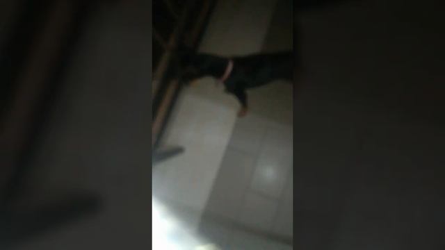 Discorsi Dal Balcone (romeo E Giulietta ???