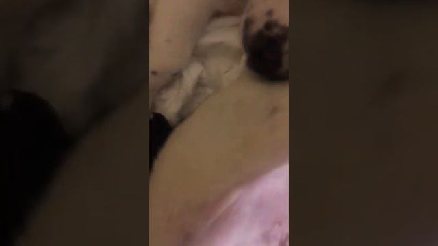 Нужен дом!!!!