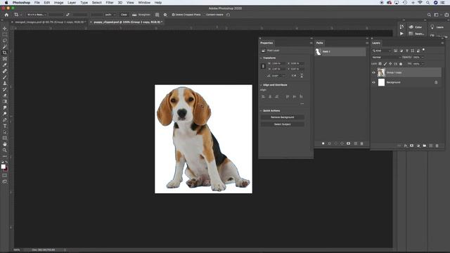 PRC5507 Tutorial Part 5 Photoshop Clipping Paths 15m09s