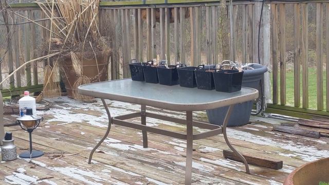 🌱 Bed Expansion & Dahlia Starting 🌱 | Crafty Like A Fox 🦊