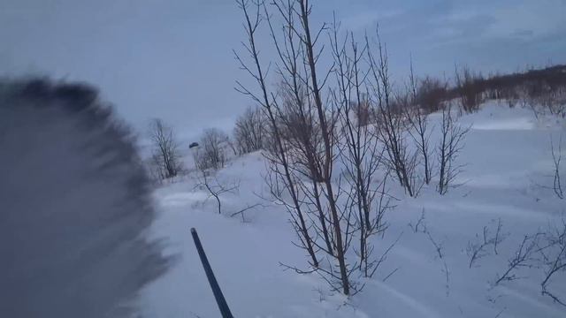 E3d023b9262a12c18e9a145fff48d920