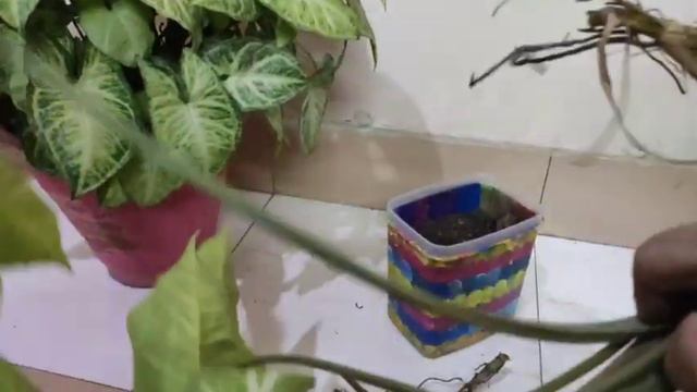 93e486f633e73e893f2628004784bbad