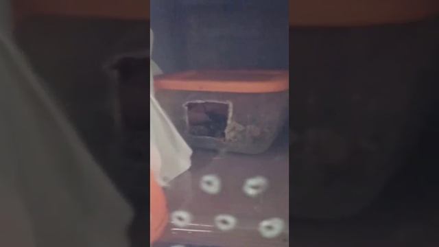 У нас было +12 тепла 3 декабря 2023.