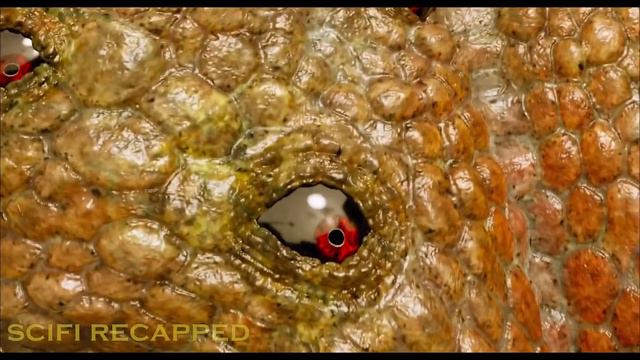 | Dei Ragazzi Sono Intrappolati In Una Strana Isola Dove I Mostri E I Vampiri Sono Reali |