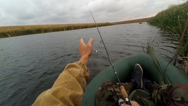 Блесна Mepps Comet ловит все подряд. Щука 5 кг на спиннинг