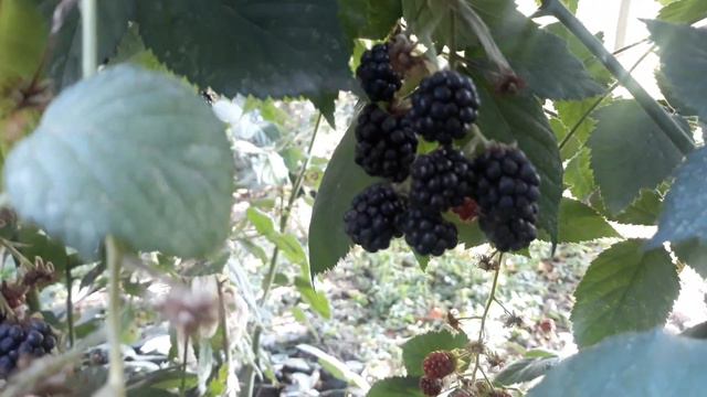 41c55971dc8381261e3e12542e2e68bb