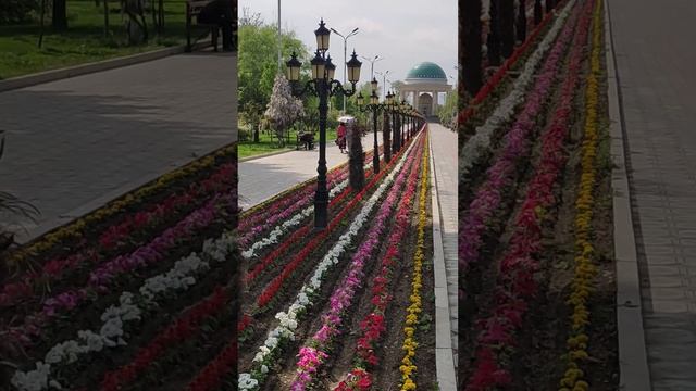 Трансформации Разума