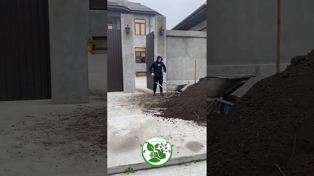 Осталось сделать укладку газона ?