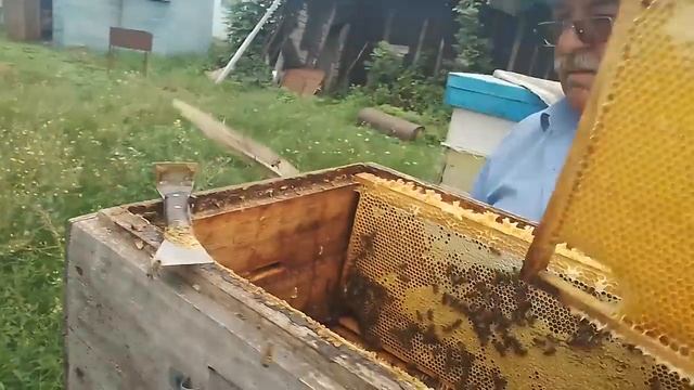 614497ee8c4e33cf8c8334e0230462f9