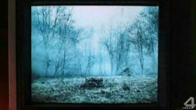 Aa98bfa66b6fcfca82629ff105199727