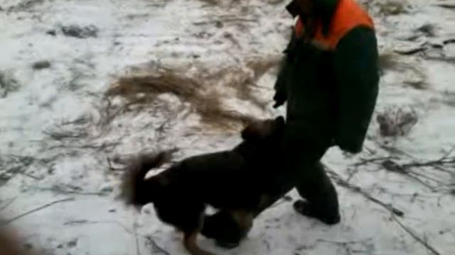 C91391561fdd0e593286a14b8fcb649e