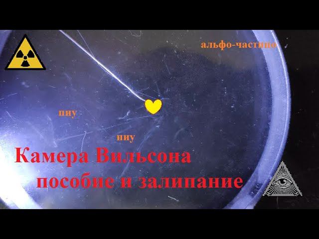 Камера Вильсона
