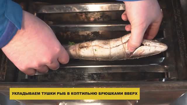 Попробуй! Копченый на мангале сибас и домашняя секретная закуска