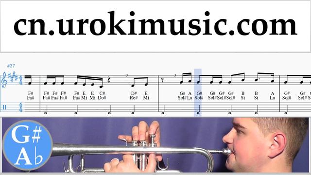 小号教学 Bebe Rexha - I'm A Mess 指法谱 Um-i791