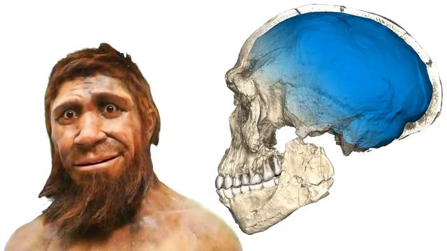 435ccadc99e8c7c4b7b34543092afdc9